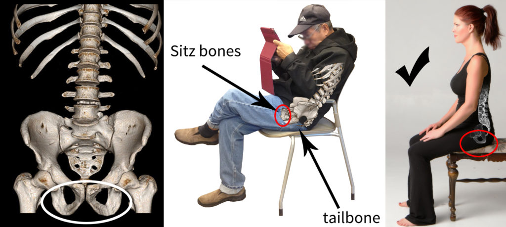 sitz-bones-sitting